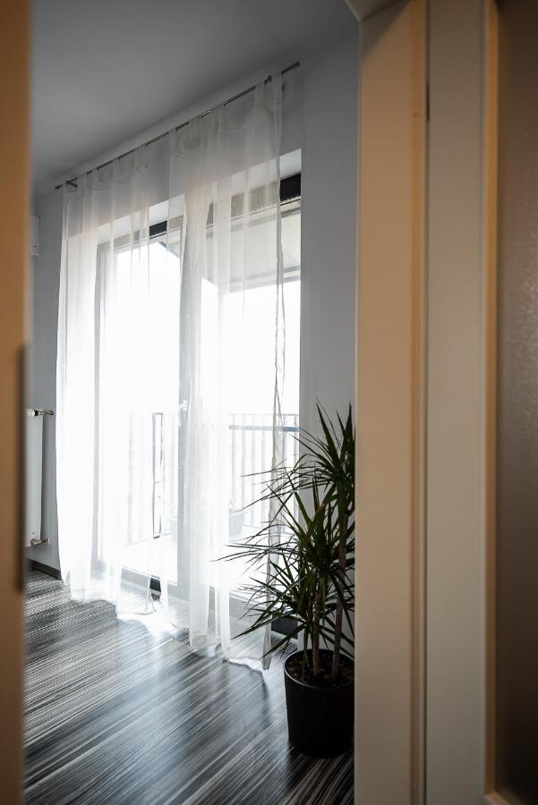 Feel Like Home Timisoara Exterior foto